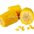 2019 nowa uprawa słodkiej kukurydzy w dobrej cenie